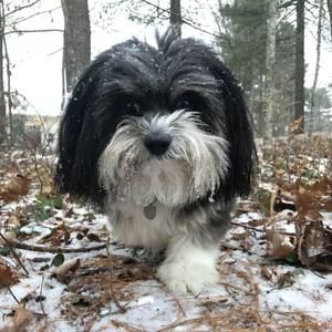 Meet your Posher, Tammy